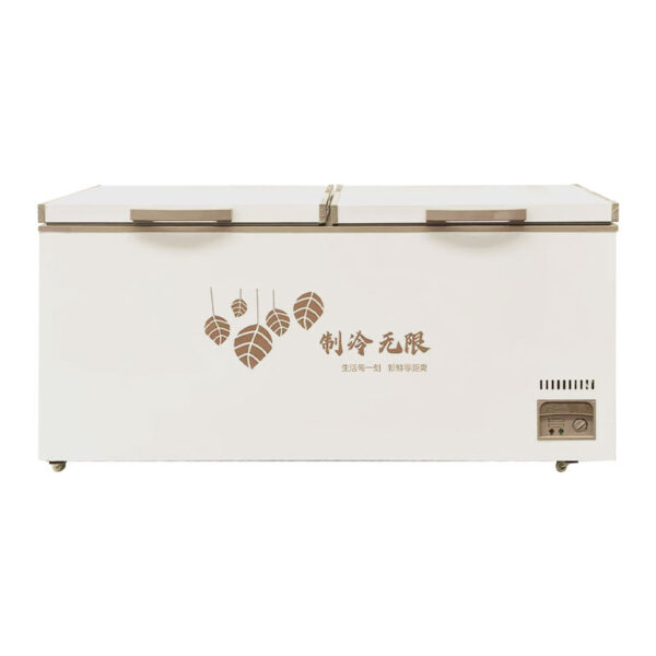 Commercial Chest Freezer with Large Capacity & Quiet Operation
